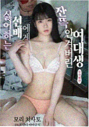回声实验剧集封面